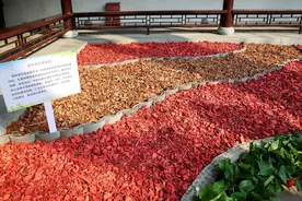 北京满大街的落叶“地毯”去哪儿了？其实它们有大用处图片