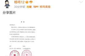 杨鸣与唐佳良解除婚姻关系，“分开是两个人对生活共同的抉择”图片