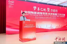 文旅消费“井喷”增长 上海国际旅游度假区全年旅游收入创新高图片