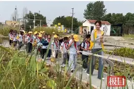 走进秋日“花田”，小学生研学之旅感受别样乐趣图片