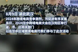 年进出口总额不低于16亿元，一跨境电商产业园在武汉汉阳启动图片