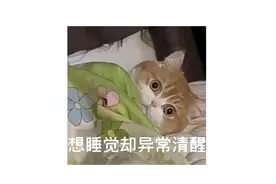 这届硬核养生人又迷上了“助眠饮料”？图片