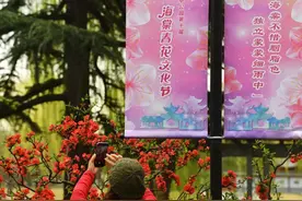 北京陶然亭公园海棠花开  去榭湖桥看梦幻夜景图片