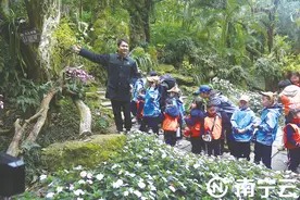 游南宁逛兰园看铜鼓 南北萌娃牵手赏风光图片