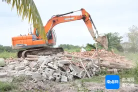 万宁万城镇：党建引领项目建设提速增效 盘活土地赋能高质量发展图片