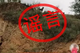 陕西一地“群狼”出没？警方辟谣图片