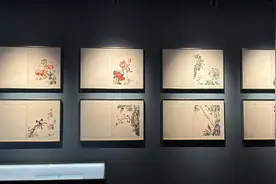 郎世宁十六开《花鸟草虫册》首次进入拍卖市场图片
