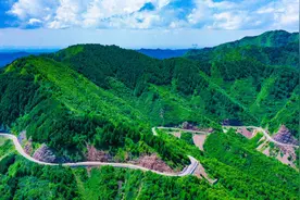 【秦文化在甘肃的历史印记之七】陇东南，藏着最早的大秦图片