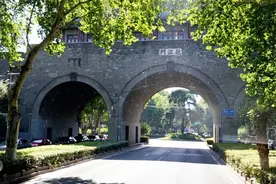南大文学课｜鲁迅不仅有两株“枣树”，还有丁香和广玉兰图片