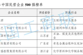 2023中国民营企业500强榜单发布，京东蝉联营收榜首图片
