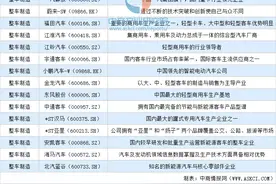 2024中国新能源汽车行业上市公司全方位对比分析图片
