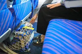 南航首推“爱宠进客舱”图片