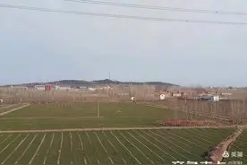 读城记｜青岛之旅图片