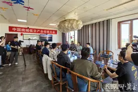 衡水市桃城区举行中国桃城低空产业招商大会图片