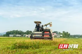 “梦里乡村”是什么样的？他们归零出发图片
