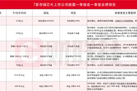 7家存储芯片上市公司披露一季度业绩 澜起科技净利同比增超10倍图片
