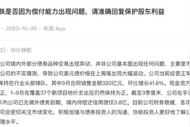 万科回应美元债大跌：公司基本面未出现问题，年内已无境外债务到期图片