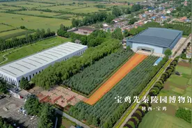 看中国，来宝鸡丨秦公一号大墓创中国考古史上五个之“最”图片