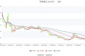 平安电工：2024年上半年净利润1.04亿元 同比增长25.38%图片