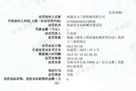 福建众力工程检测有限公司被罚50000元图片