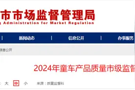 山东省聊城市市场监管局发布2024年童车产品质量市级监督抽查结果图片