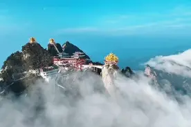 青春没有售价 栾川“免费”拿下图片