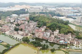 鹤山桃源旺龙村：以“伞”为笔绘就致富新图景图片