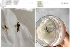 北京已有人“中招”！这种颜色的毒虫，千万别拍！图片