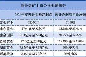 金价再创新高，六家“掘金”矿企预盈最高超400亿元图片