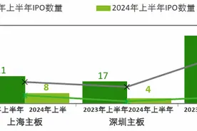 德勤：上半年A股IPO融资额降逾八成，上交所将居全球第五图片
