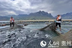 贵州：生态渔业“绿水生金”图片