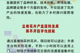 昆明第三届融媒体网评大赛|发展花卉产业助推 云南“美丽经济”欣欣向荣图片
