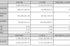 解码财报 | 国联水产上半年亏损1.86亿元，预制菜业务快速增长成亮点图片