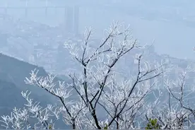 湖湘画卷|衡山勾头峰：雾凇与冰语图片