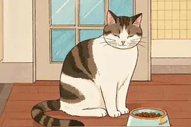 养猫久了才明白，猫总在碗里剩些猫粮，原来是这些意思图片