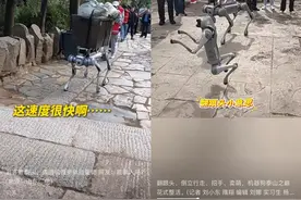 泰山“机器狗”火了！投资方浮现，多公司自曝“这技术我有”图片