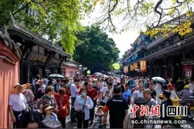 眉山东坡：8个A级景区接待游客9.0214万人次图片