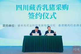 川猪一大步，四川藏香乳猪首次出口图片