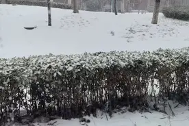 寒潮袭击我国中东部！山东10市迎来降雪，多省气温将跳水图片
