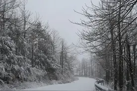 湖南今天这场雪，让人想起朱自清的《匆匆》图片