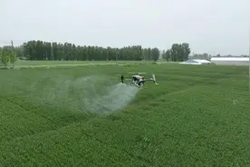 河南唐河：“一喷三防” 稳产助增收图片