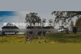 这些人称“云养牛”能赚钱，非法集资5亿多元！上海有人豪掷300万元图片
