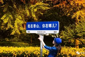 这个深秋，我在香山你在哪儿？图片