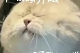 “大家千万不要被大学生骗了！他们其实只有在回学校的路上是难过的！”图片