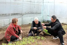 农技人员春耕一线助农忙图片
