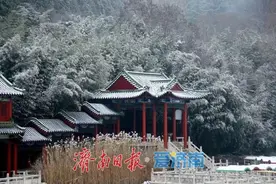 红叶谷雪落悄无声，梅花染枝头图片