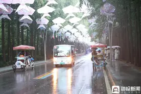 雨天去日照海滨国家森林公园，是一种什么样的体验？图片
