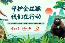 【全国两会联动报道】云南白马雪山：30年坚守，从“猎人”变“猴王”图片