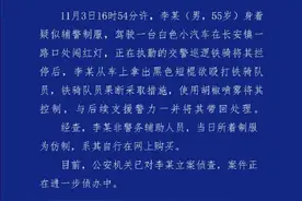 男子穿假制服袭警被立案图片