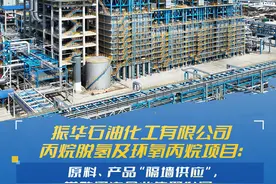 每周一个重大项目｜振华石油化工有限公司：原料、产品“隔墙供应”，带动周边企业集聚发展图片